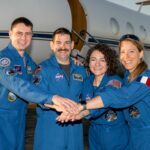 WhatsApp Image 2026-02-13 at 11.25.17