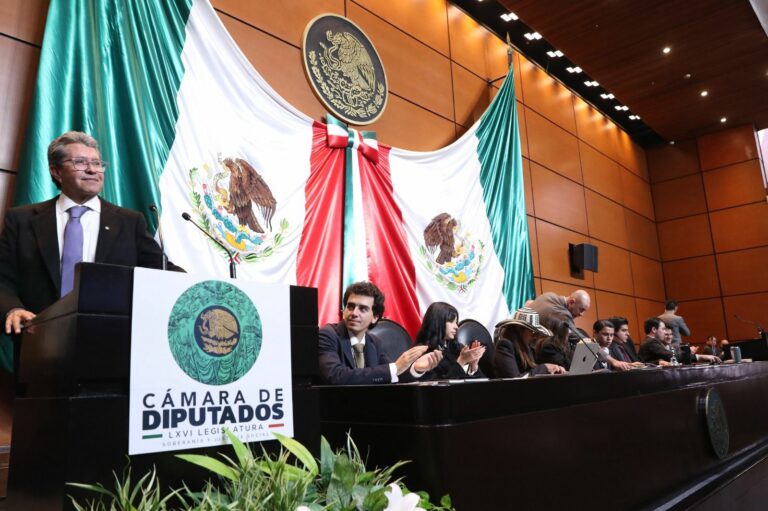 WhatsApp Image 2026-02-14 at 09.28.12