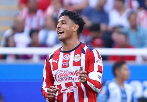 WhatsApp Image 2026-02-14 at 14.43.49