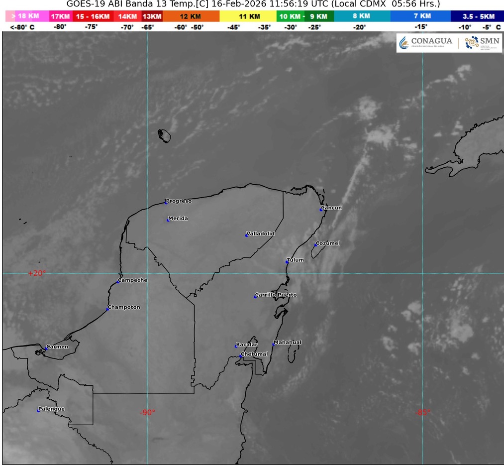 WhatsApp Image 2026-02-16 at 08.07.57