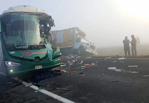 WhatsApp Image 2026-02-16 at 10.15.12