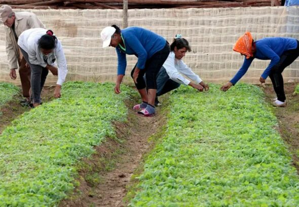 WhatsApp Image 2026-02-19 at 10.58.41