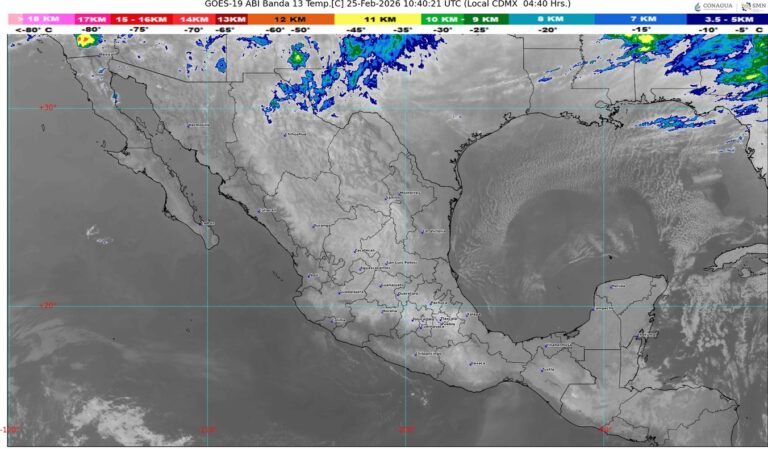 WhatsApp Image 2026-02-25 at 08.14.12