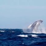 WhatsApp Image 2026-02-25 at 11.29.05