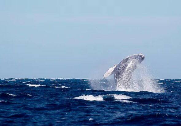 WhatsApp Image 2026-02-25 at 11.29.05