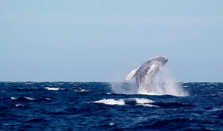 WhatsApp Image 2026-02-25 at 11.29.05