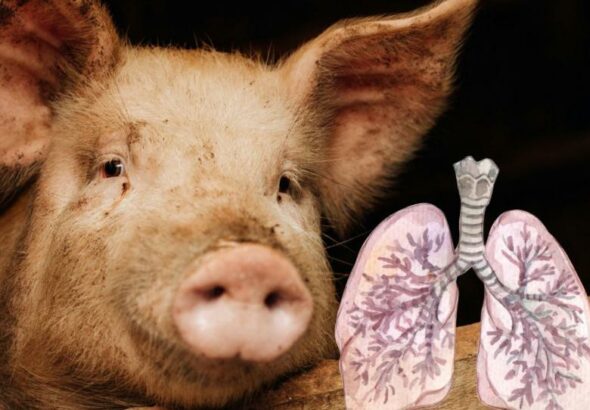 WhatsApp Image 2026-02-27 at 10.13.30