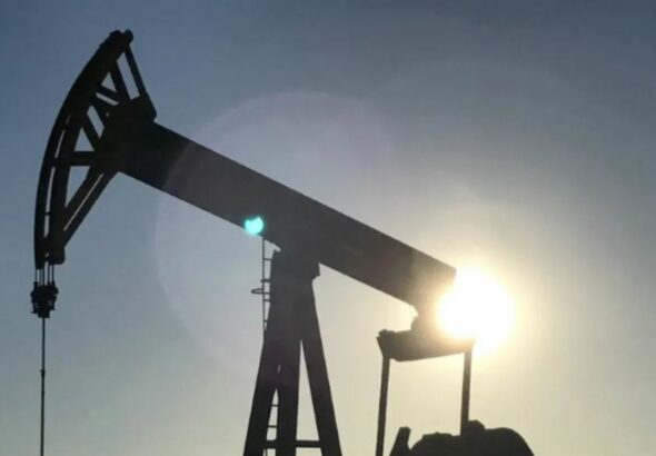 WhatsApp Image 2026-03-02 at 10.07.14