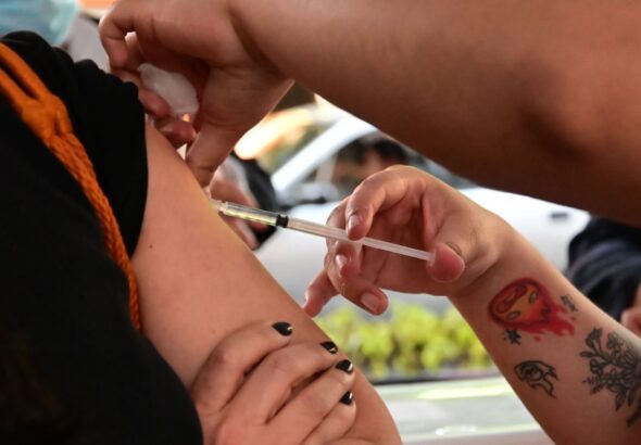 WhatsApp Image 2026-03-03 at 11.13.25