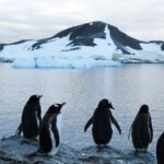 WhatsApp Image 2026-03-03 at 11.39.07