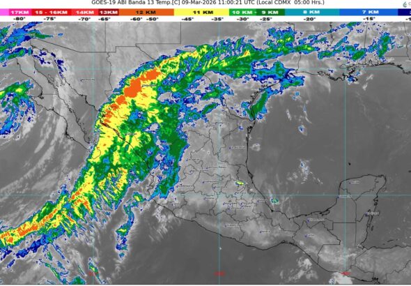 WhatsApp Image 2026-03-09 at 07.29.37