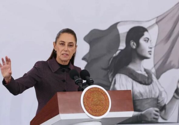 WhatsApp Image 2026-03-09 at 11.40.52