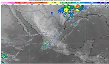 WhatsApp Image 2026-03-11 at 07.47.10