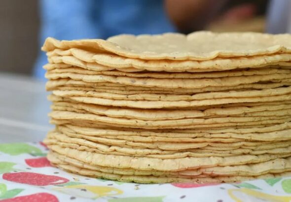 WhatsApp Image 2026-03-11 at 09.52.32