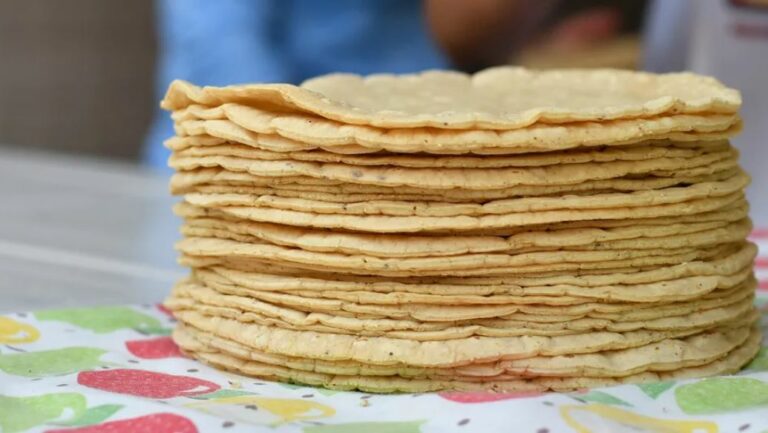 WhatsApp Image 2026-03-11 at 09.52.32