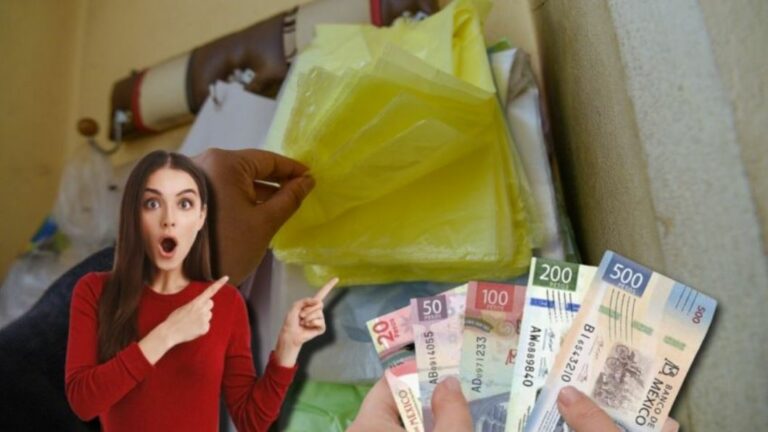 WhatsApp Image 2026-03-18 at 10.30.26