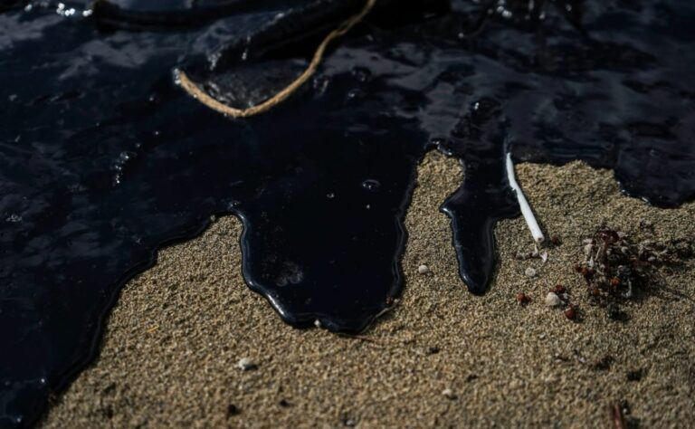 WhatsApp Image 2026-03-25 at 10.36.06