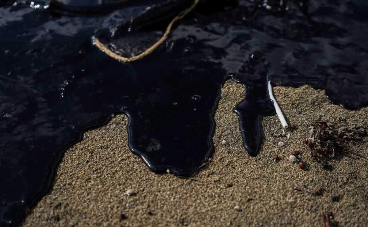 WhatsApp Image 2026-03-25 at 10.36.06