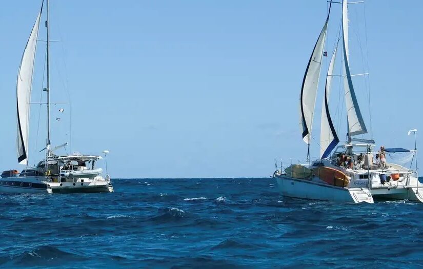 WhatsApp Image 2026-03-27 at 09.09.23 (1)