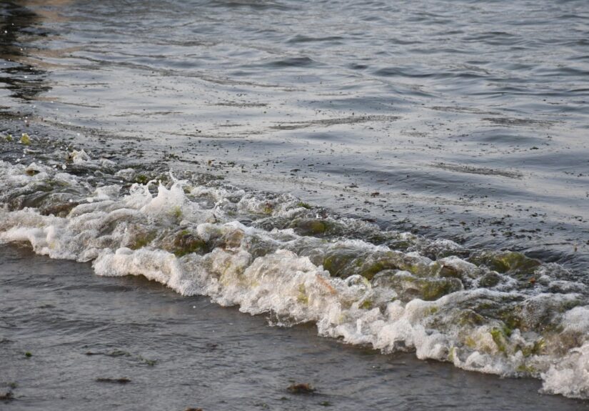 WhatsApp Image 2026-03-27 at 09.32.58