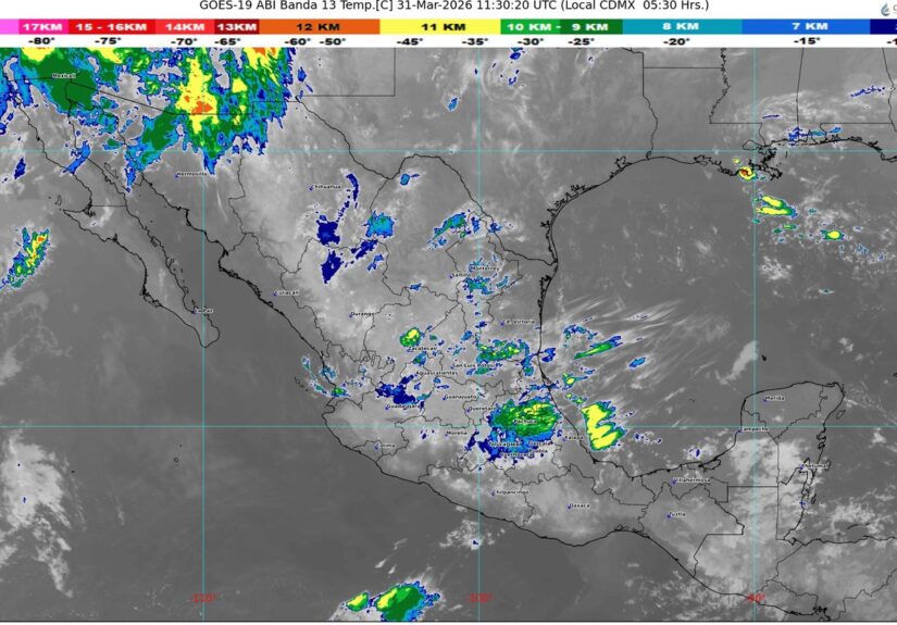 WhatsApp Image 2026-03-31 at 07.46.39