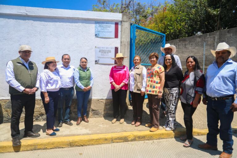 69d8243ebc0e7c64e6c41d6c_WhatsApp Image 2026-04-09 at 3.25.28 PM