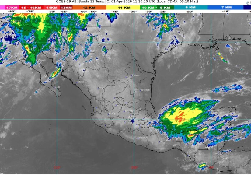 WhatsApp Image 2026-04-01 at 07.58.11