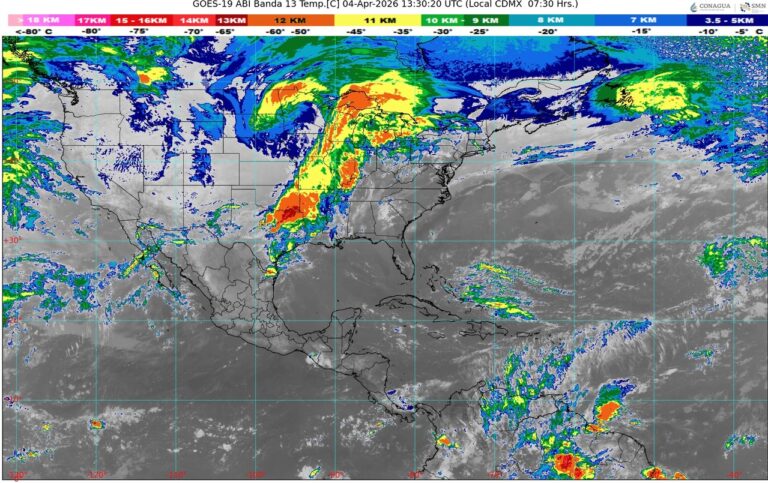 WhatsApp Image 2026-04-04 at 09.01.29