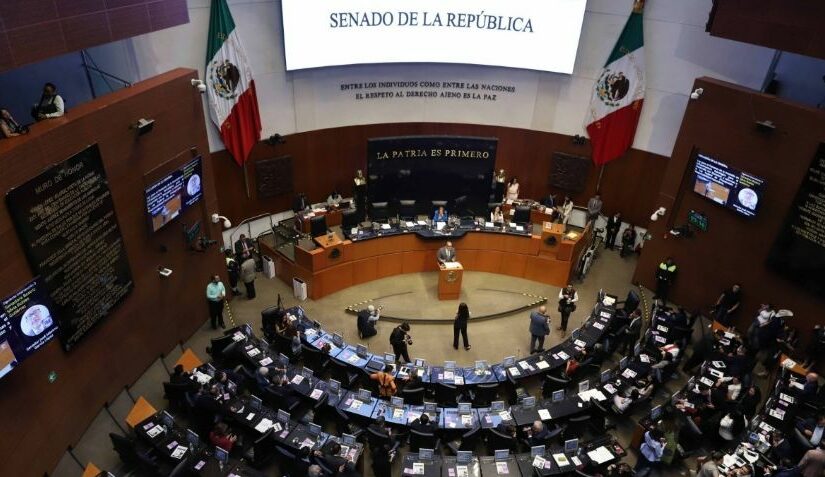 WhatsApp Image 2026-04-08 at 10.09.16