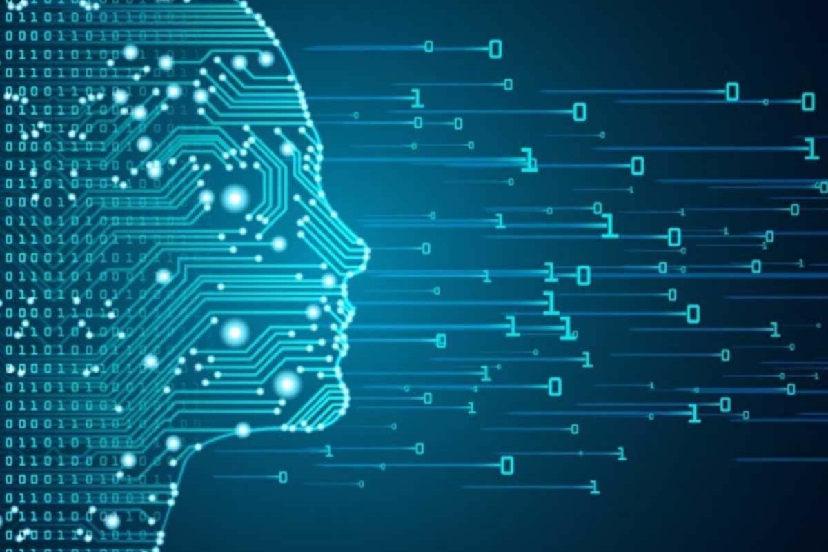 WhatsApp Image 2026-04-08 at 11.50.24