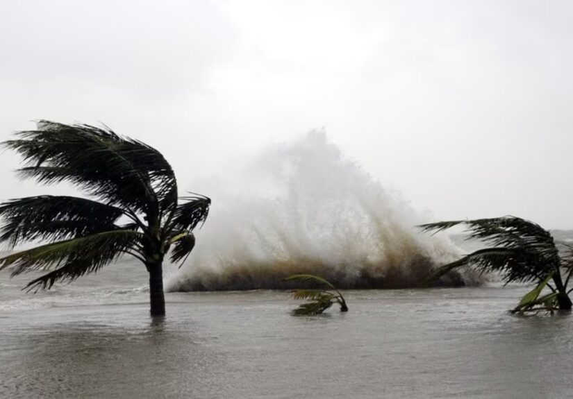 WhatsApp Image 2026-04-16 at 09.01.15