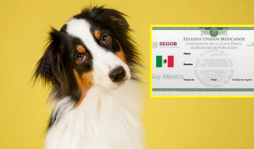 WhatsApp Image 2026-04-21 at 08.58.32