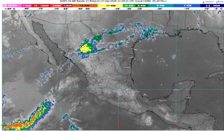 WhatsApp Image 2026-04-27 at 08.05.44