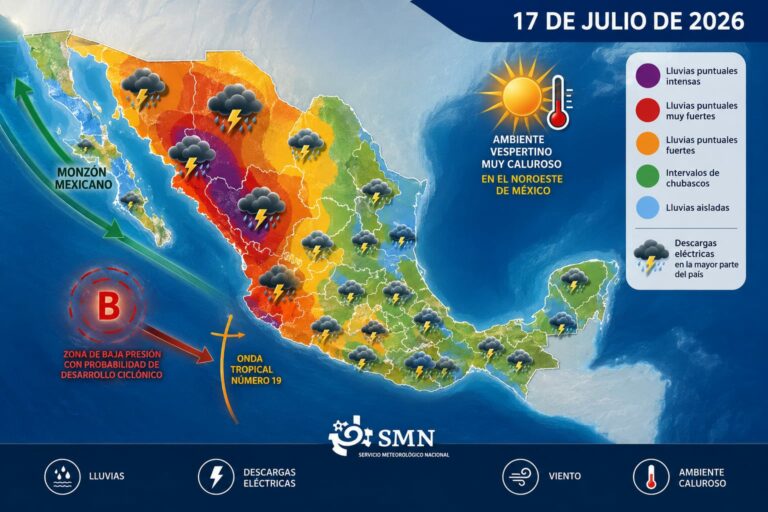 WhatsApp Image 2026-07-17 at 08.36.27
