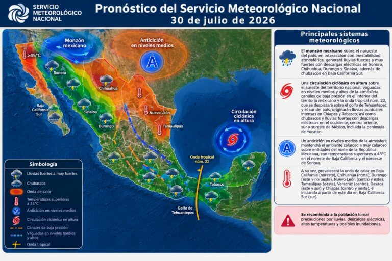 WhatsApp Image 2026-07-30 at 09.19.07