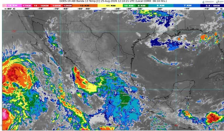 WhatsApp Image 2026-08-25 at 09.19.51